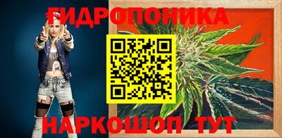 крисы Кунгур