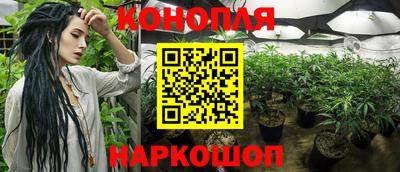 крисы Кунгур