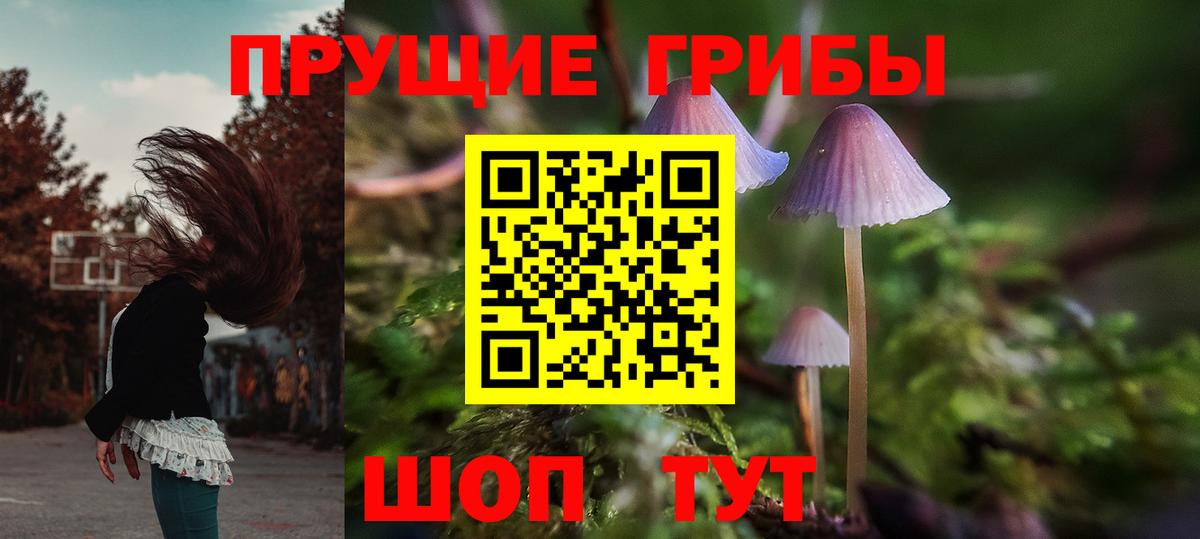 Галлюциногенные грибы Psilocybine cubensis  Галлюциногенные грибы Magic Shrooms  Вход с VPN  Ивантеевка 