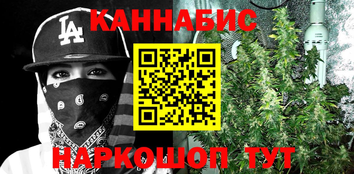Конопля конопля Ивантеевка